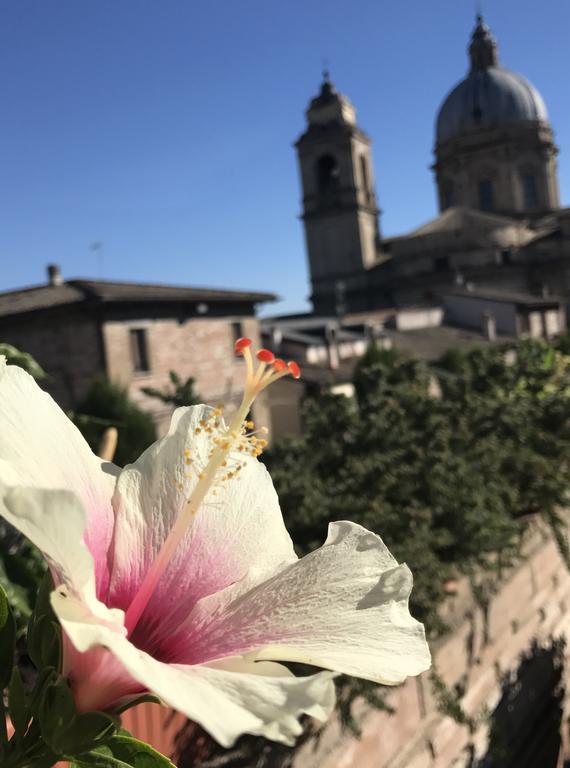 Camere Il Cantico Assisi Luaran gambar